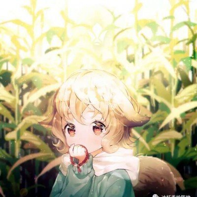 官方通报城管爬摊贩三轮车被带行
